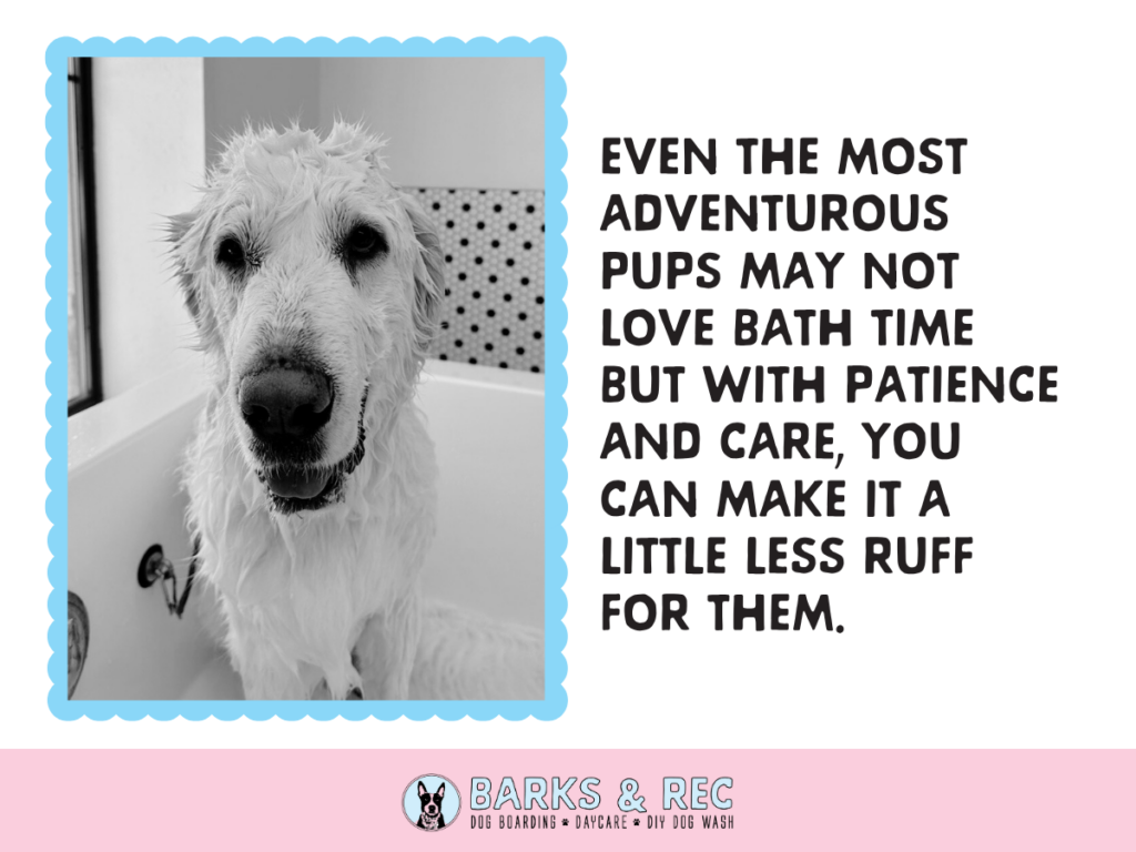 DIY dog wash