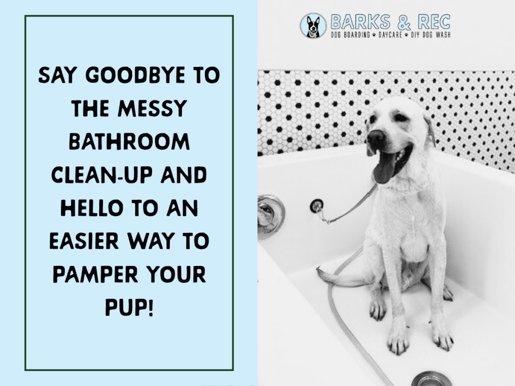 DIY dog wash (2)