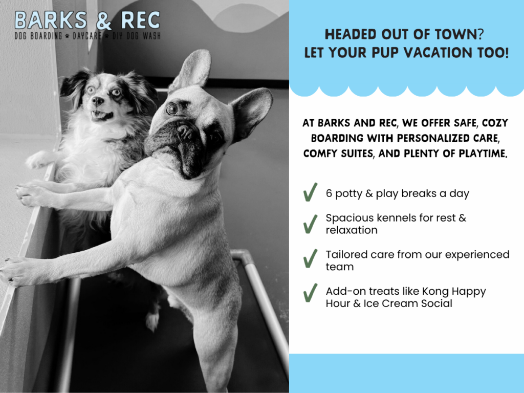Pet Boarding (2)