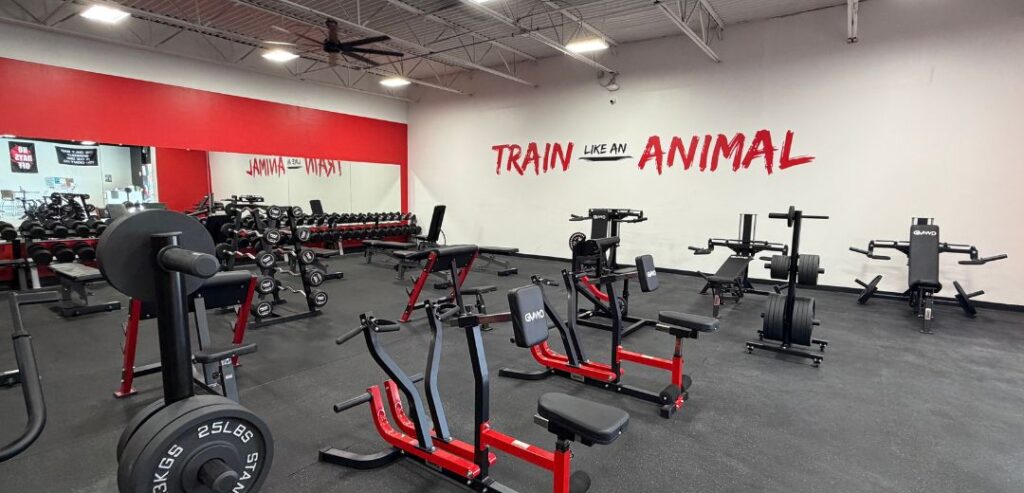 Feral Fitness Interior