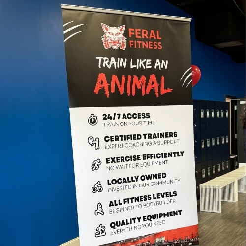 MENT NEWSLETTER GRAPHICS